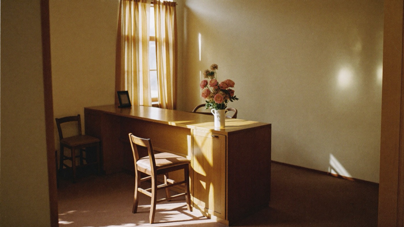 The reception desk of a small business in morning light, where the questions get asked